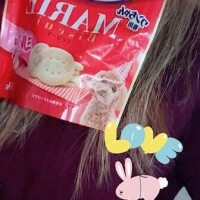 ワンちゃんおやつとバウムクーヘン