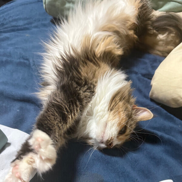 にこちゃん、おはようの舞い！　寒い！