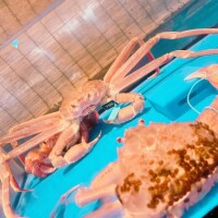 忘年会ウィーク🤮