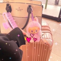 ほた福岡帰るばい🐰