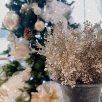 1月の出勤スケジュール