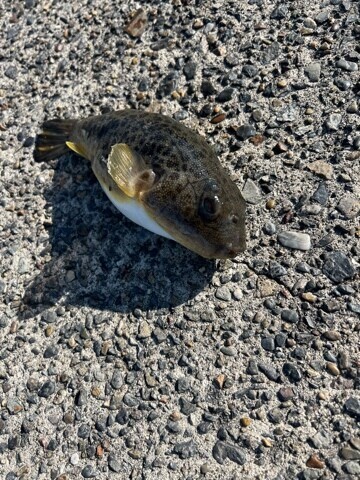 20251223_173535_b20a2e04b8abea20d6f60fdc