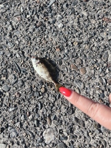 20251223_173535_d97009759b46a356fbe3f27c