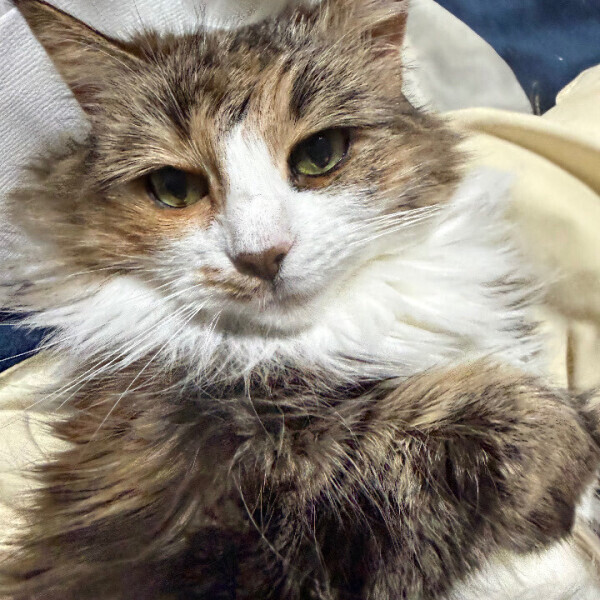 今日の残り枠🙌