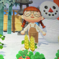 雪だるま綺麗につくった