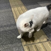 あけましておめでとうございます🎍