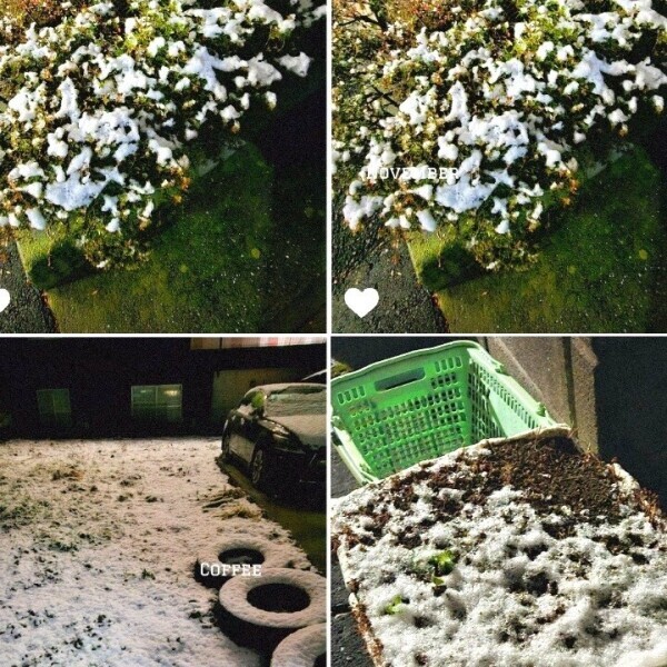 勝手に選手権ꉂꉂ(ˊᗜˋ*)HAHAʬʬ