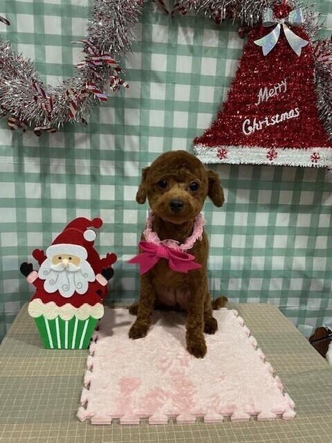 ドビ活？！写メ