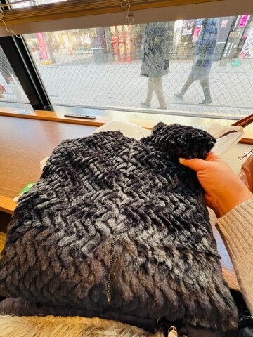 20260107_152608_ca34e1055a2e4049edf8a04f