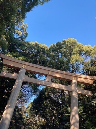 初明治神宮⛩✨️