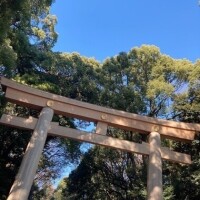 初明治神宮⛩✨️