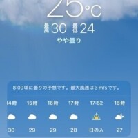 🧠内　　日本脱出🏖️🏖️    ①