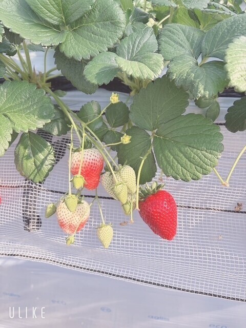 ごめんなさい💦