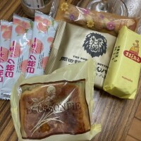 雪降ってきた！