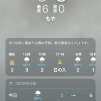 初めてみました😳