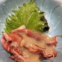 春の味覚🦑✨️