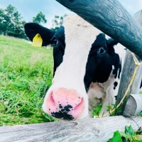 悲しい時〜🗣️