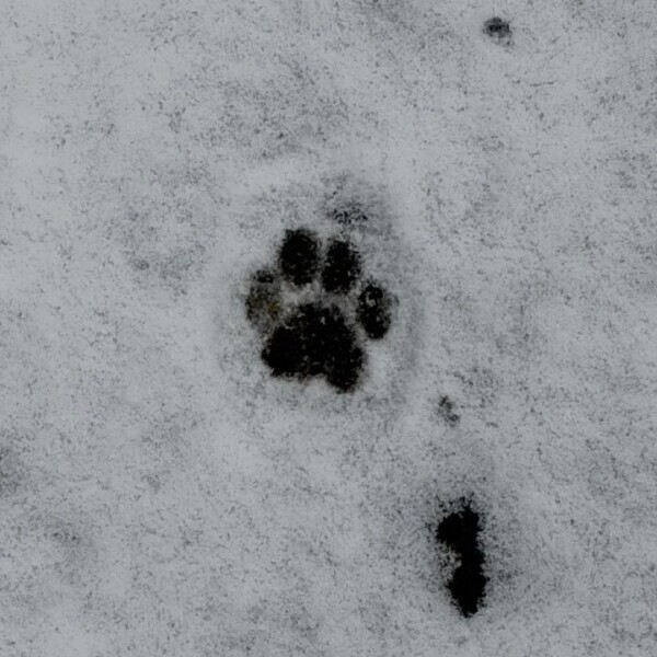 13~15日しゅっきーん！