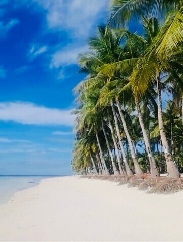 先週の〜🇵🇭の続き〜誰も居ない、早朝の砂浜🏖️
