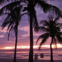 先週の🇵🇭の続き〜ボホール島最高でした🏖️
