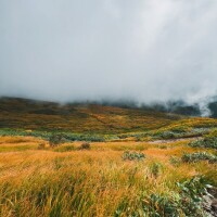 明日は雨ですが☔️