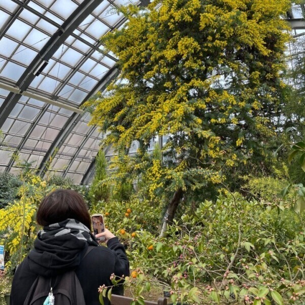 早番で終わってました