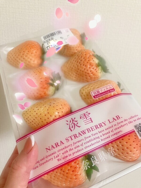 初淡雪🍓✨️