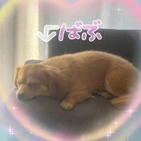 土曜日のお知らせ📢💕