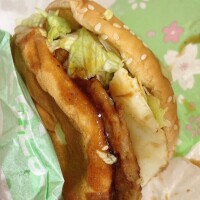 ノーマルが好き🍔🌸