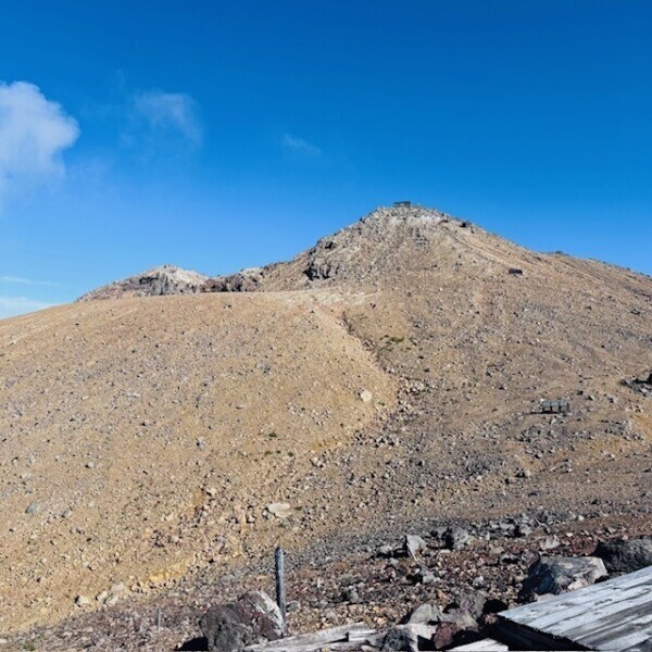 のぉーーーー😭✨