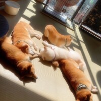 ここは天国👼？