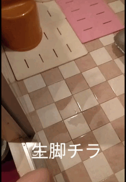 ハピマ来た気分になる動画
