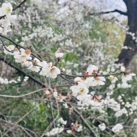 騙されるもんですかっ😤