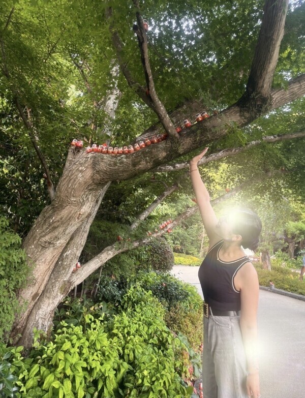 🩵スタートから