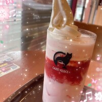 おはようございます🌸✨️