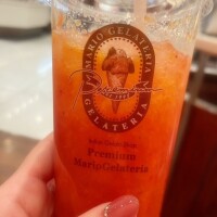 おはようございます🌸✨️