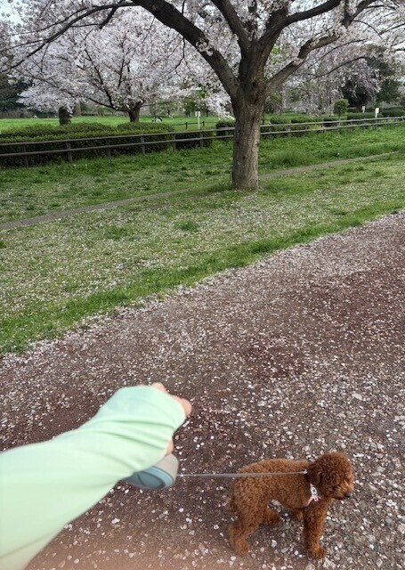 春を実感
