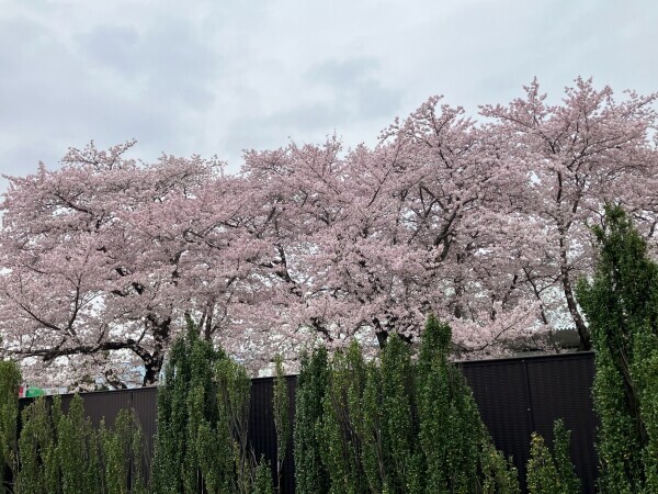出勤♡