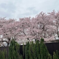 出勤♡