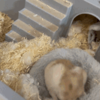 指名ありがとう♡