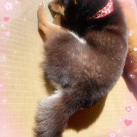 本日お休みになってしまってごめんなさい🥹