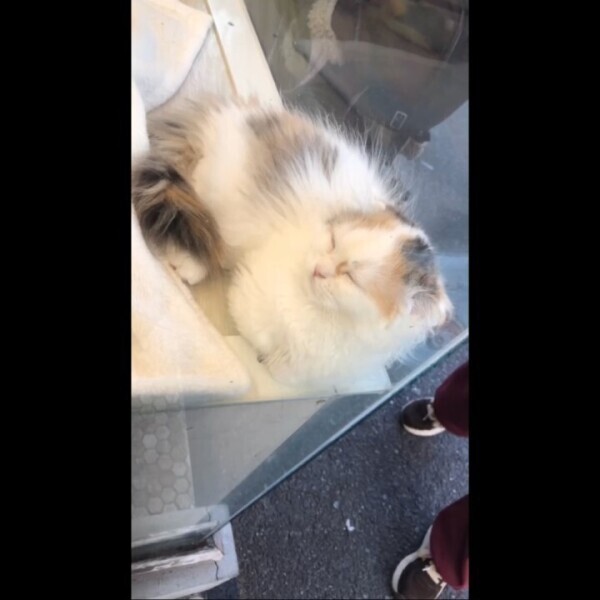 ‪(⸝⸝⸝◜ᵕ◝ ⸝⸝⸝)‬