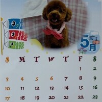 来月のカレンダーにいかがですか？！