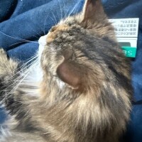 おはよう〜