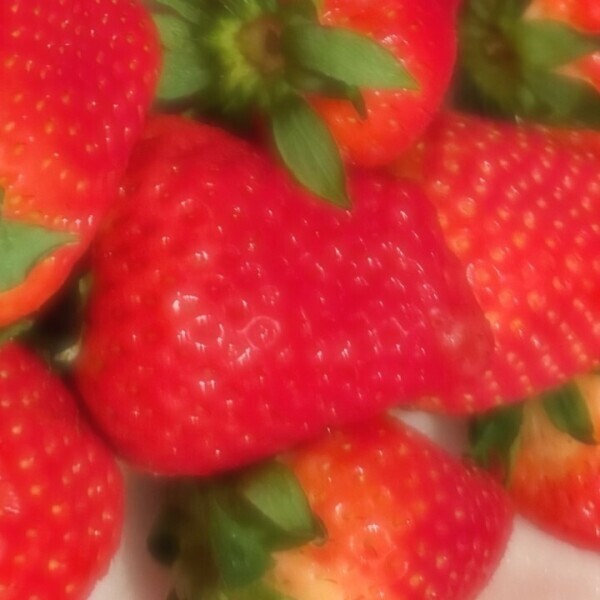 🍓