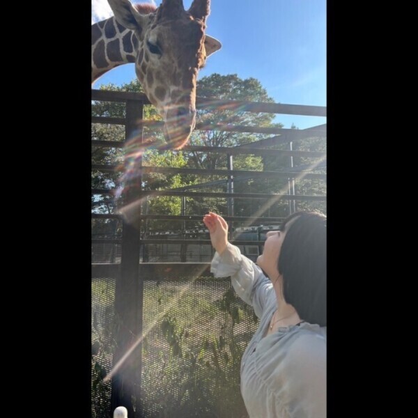 しゅ！