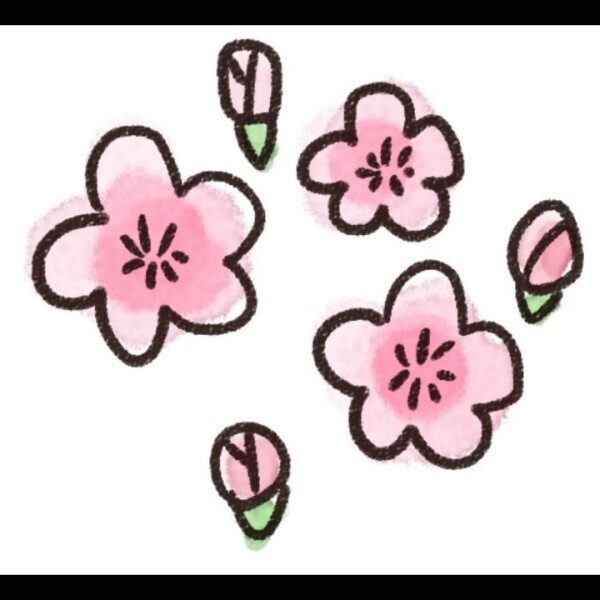 花より〇〇