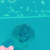 じゅり