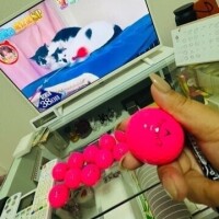 ようやく〜届いて〜🤟