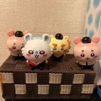 ハッピーセットのうさぎ急募中